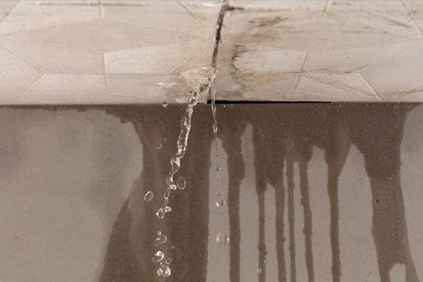 Professional Sewage Cleanup technician working in Round Rock, TX